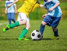 梅西领跑本,世纪自然年,进球榜,米兰体育官网,米兰体育平台,米兰体育链接,米兰体育官方