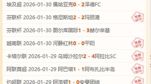 图赫尔确认：贝林厄姆缺席日本战，避免冒险决策